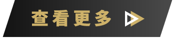 查看更多